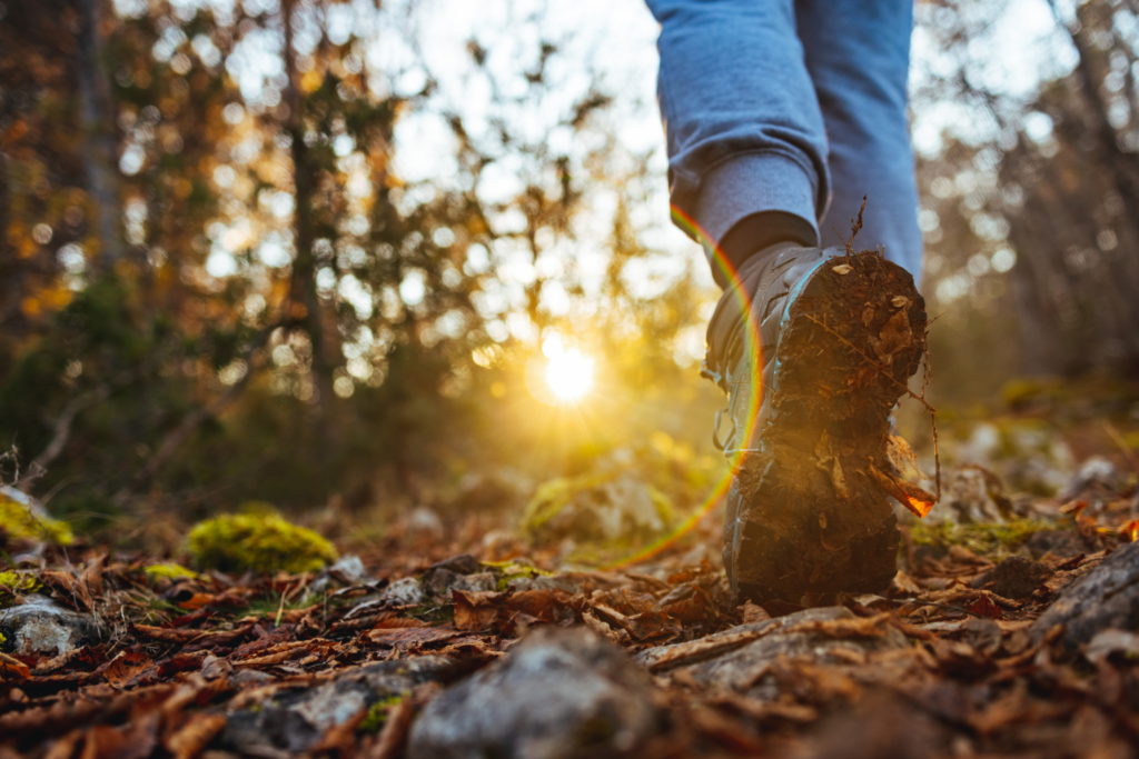 Person walking through a forest trail during sunset, emphasizing outdoor therapy activities.
