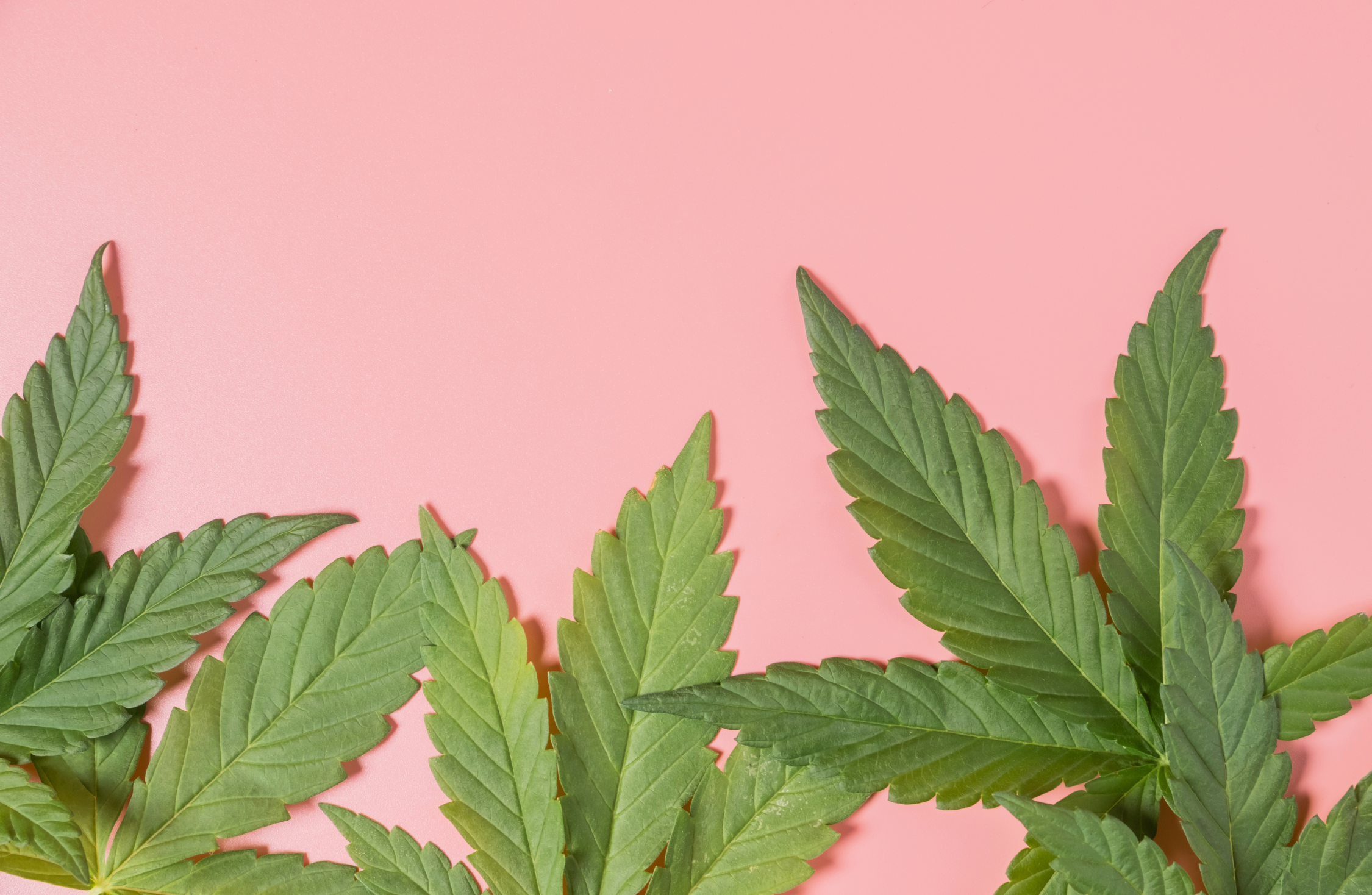 Marijuana rehab in Atlanta can support discontinuing use from marijuana or other substances.