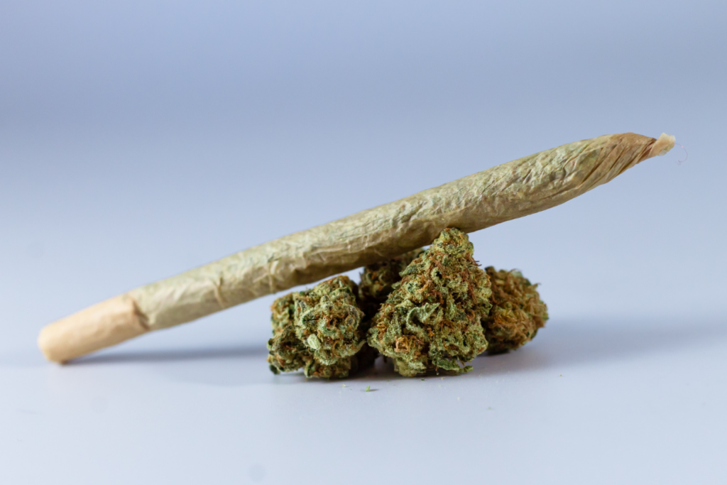 Cannabis and a rolled joint on a light blue background.